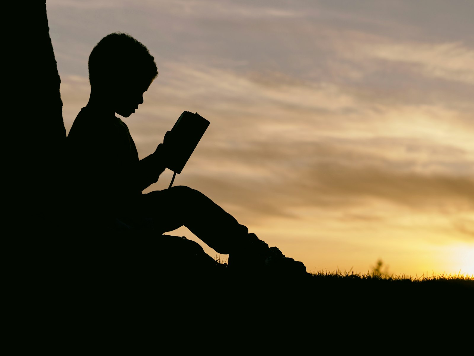 A child absorbed in a book outdoors at sunset